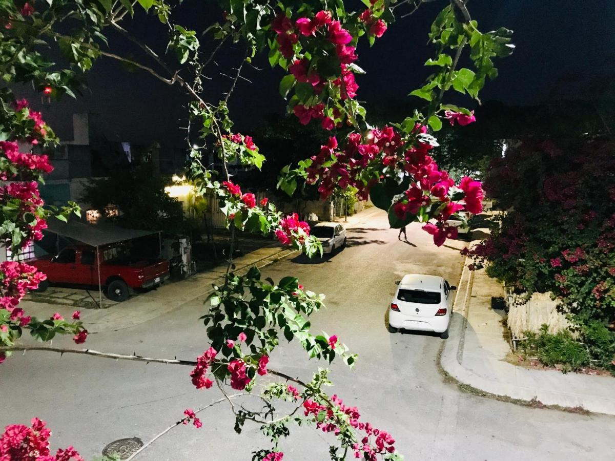Cozy Tiny Studio Acasadialexplayadelcarmen Playa del Carmen Ngoại thất bức ảnh