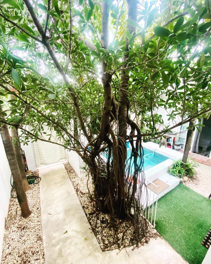 Cozy Tiny Studio Acasadialexplayadelcarmen Playa del Carmen Ngoại thất bức ảnh