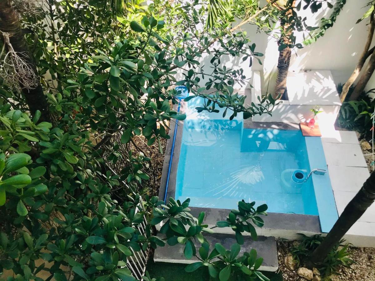 Cozy Tiny Studio Acasadialexplayadelcarmen Playa del Carmen Ngoại thất bức ảnh