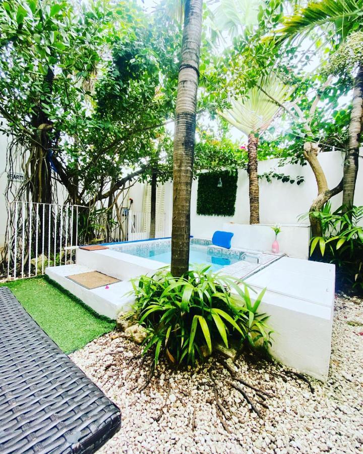 Cozy Tiny Studio Acasadialexplayadelcarmen Playa del Carmen Ngoại thất bức ảnh