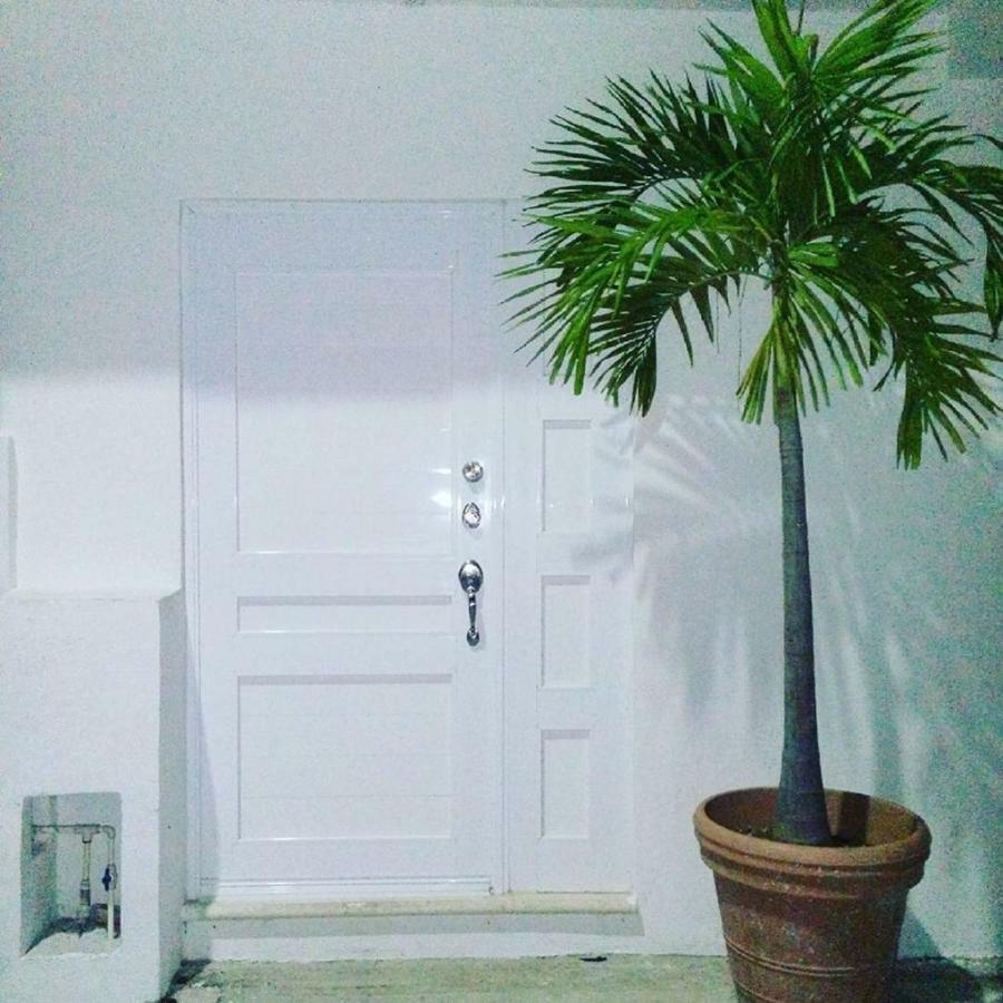 Cozy Tiny Studio Acasadialexplayadelcarmen Playa del Carmen Ngoại thất bức ảnh